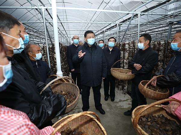 习近平总书记考察亚星游戏官网援建的金米村智能连栋木耳大棚
